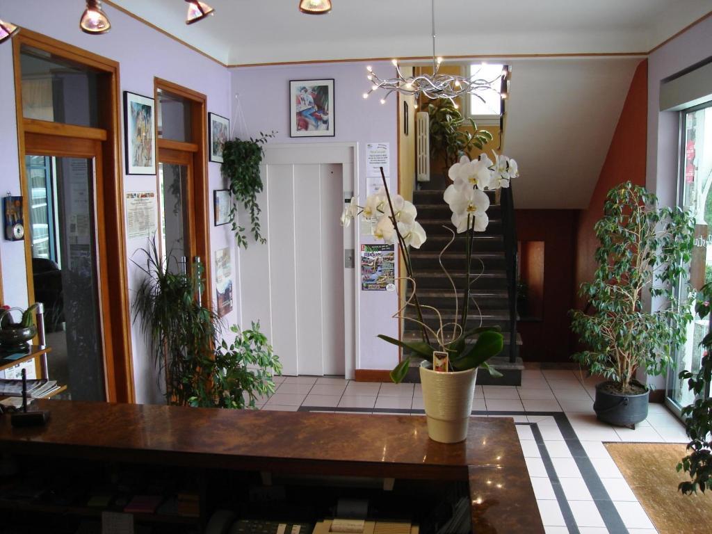 Hotel Beausejour Chaudes-Aigues Dış mekan fotoğraf